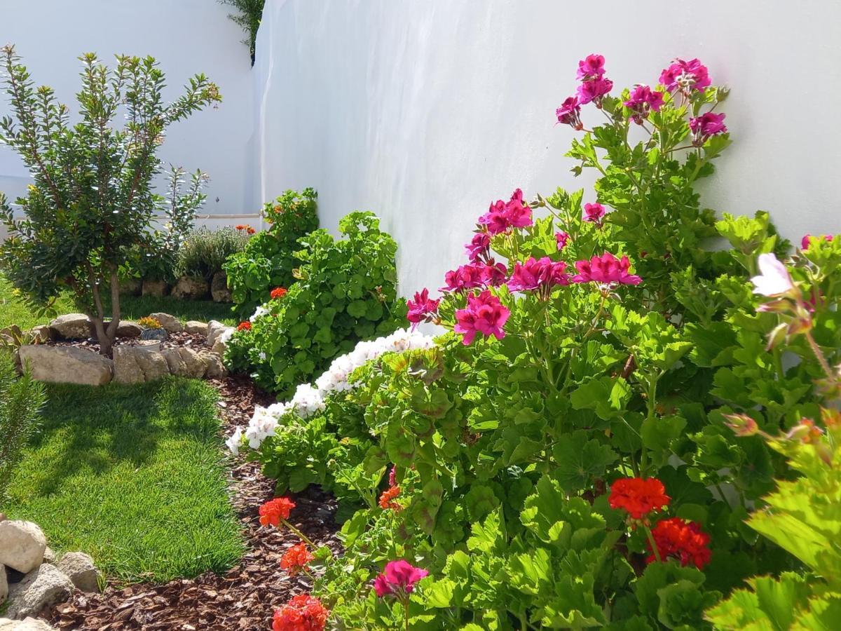 Pateo Dos Oliveira - Casa Dos Senhores Эвора Экстерьер фото